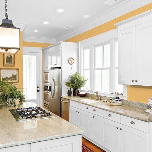 room-kitchen_apollo-gold__ppg16-11