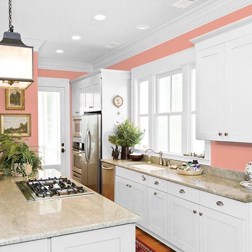 room-kitchen_coral-blush__ppg1191-4
