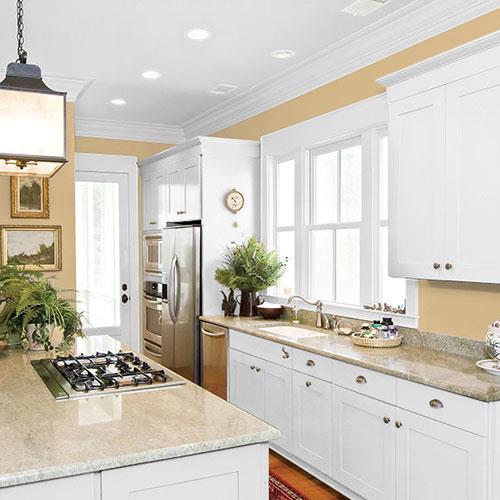 room-kitchen_craftsman-gold__ppg1092-4