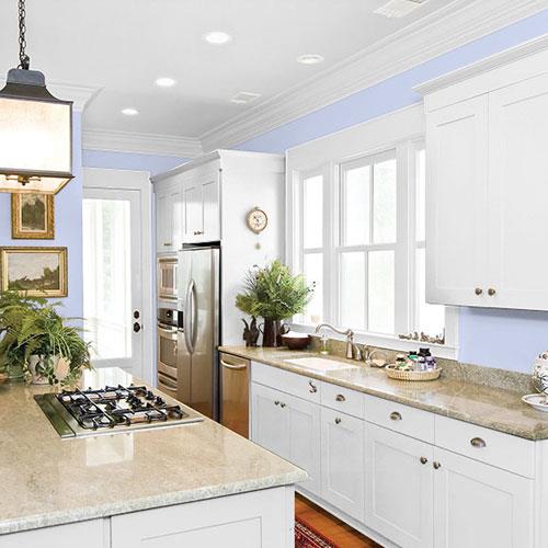 room-kitchen_globe-thistle__ppg1246-3