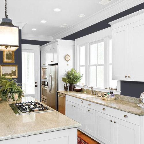 room-kitchen_napoleon__ppg1013-7