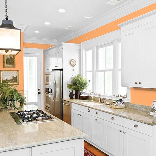 room-kitchen_sorbete-de-melon__ppg17-21