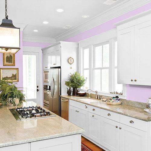 room-kitchen_syrian-violet__ppg1250-3