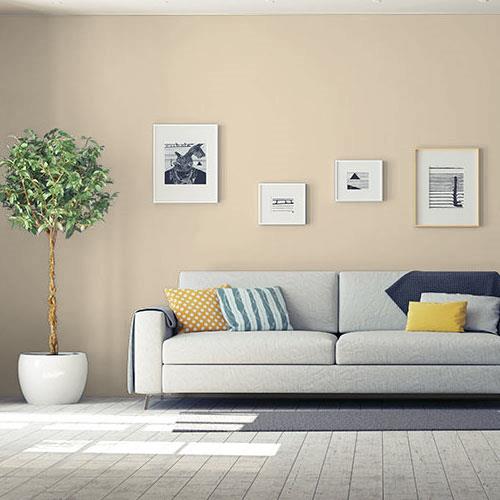 room-living-room_armadillo__ppg14-17