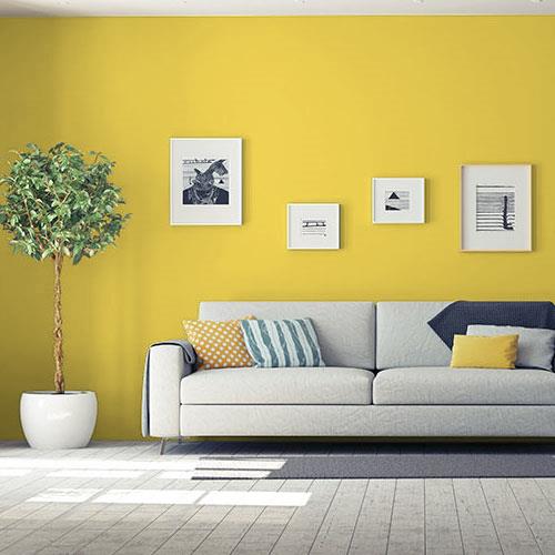 room-living-room_golden-yarrow__ppg1215-5