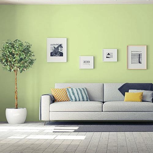 room-living-room_lettuce-alone__ppg1222-4