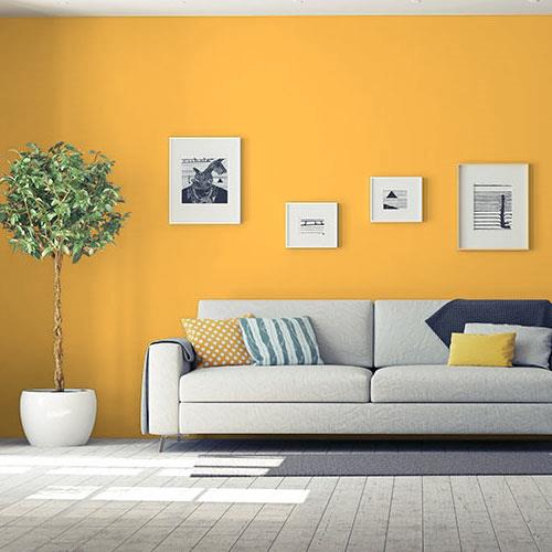 room-living-room_mango-margarita__ppg1204-7