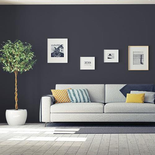 room-living-room_napoleon__ppg1013-7