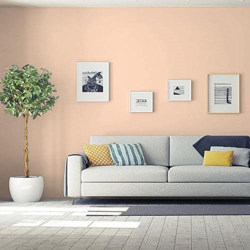 room-living-room_peach-darling__ppg1201-3