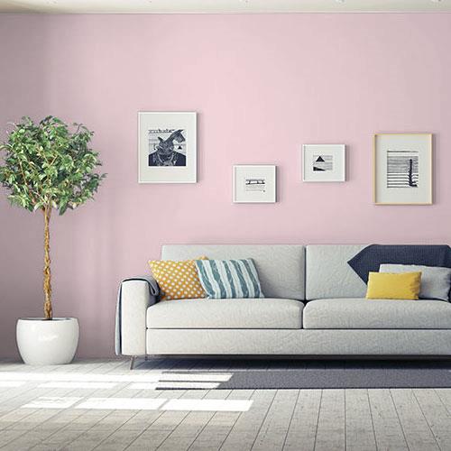 room-living-room_rose-cloud__ppg1048-3