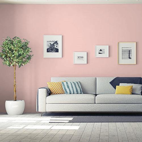 room-living-room_rose-petal__ppg1057-3