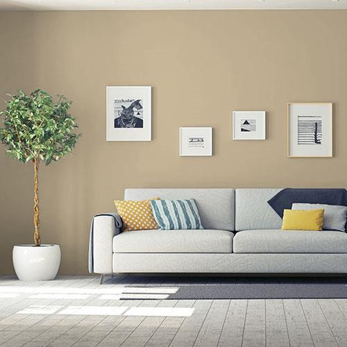 room-living-room_soft-suede__30yy-41_165