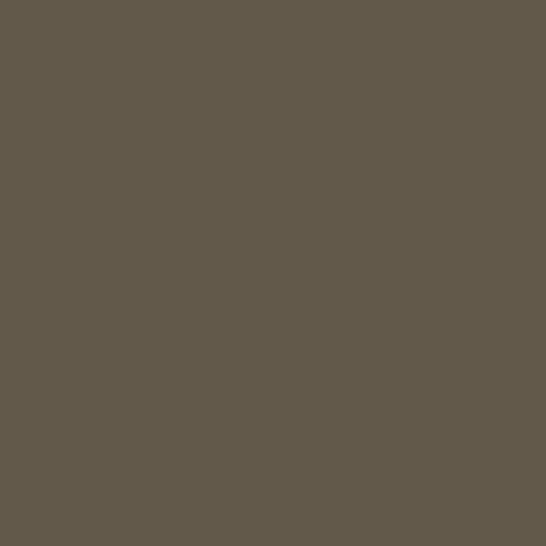 room-swatch_chocolate-lab__ppg1000-7