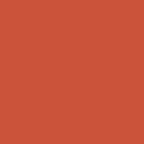 room-swatch_cinnamon-stone__ppg1193-7