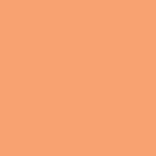 room-swatch_copper-river__ppg1196-5