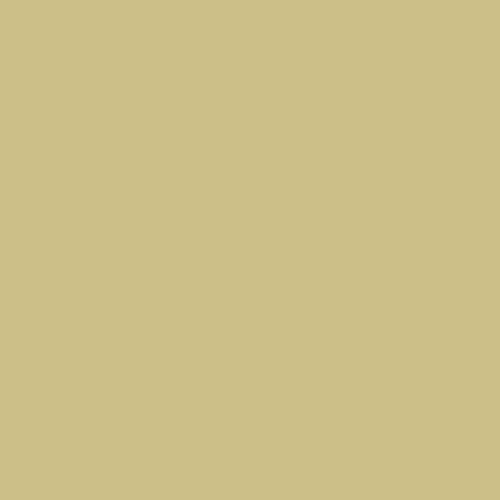 room-swatch_country-style__ppg11-04