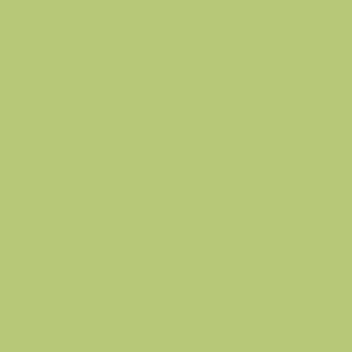 room-swatch_fern-glow__ppg17-27