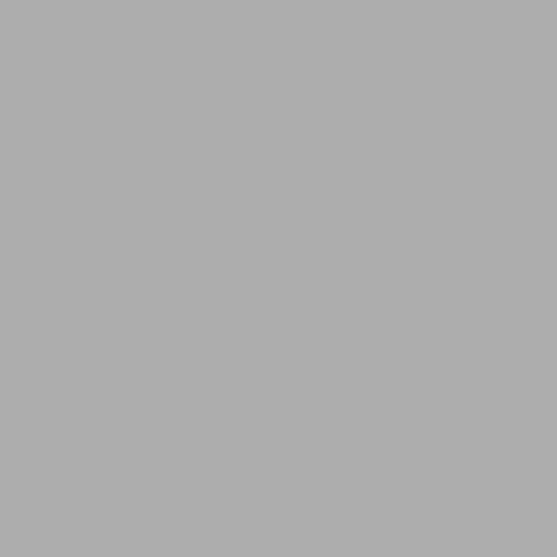 room-swatch_flagstone__ppg1001-4