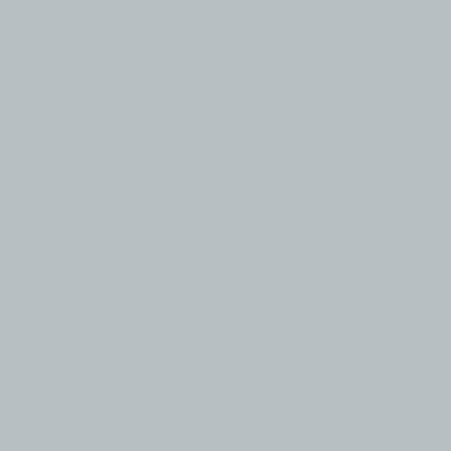 room-swatch_gray-frost__ppg1012-4
