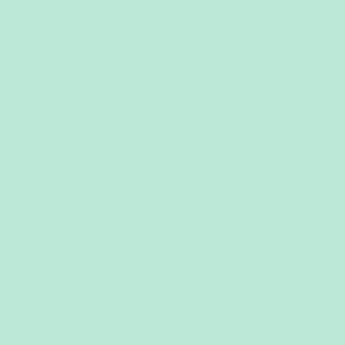 room-swatch_wintergreen-mint__ppg1229-2