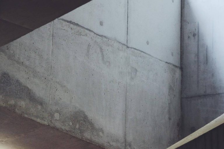 Mucegai-pe-perete.-Ce-este-mucegaiul-ce-tipuri-exista╠a-s╠ai-ce-probleme-cauzeaza