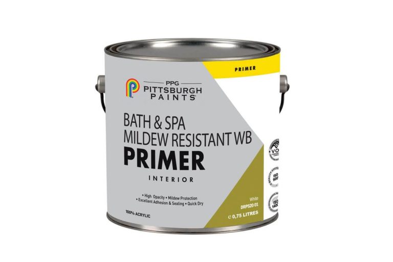 Mucegai-pe-peret╠ai.-Cum-scapi-de-mucegai-s╠ai-ce-produse-te-pot-ajuta